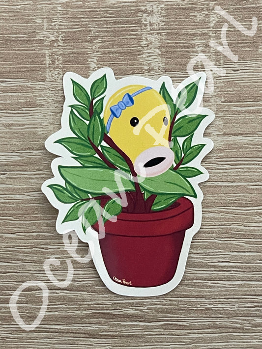 Chetiflor, la belle plante