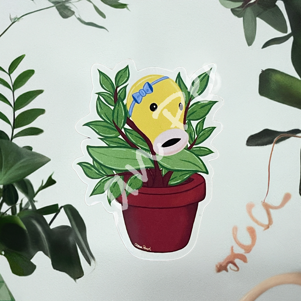 Chetiflor, la belle plante